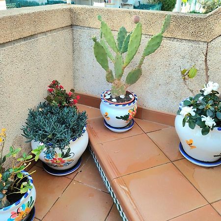 Casa De Buenos Dias Apartment Torrevieja Bagian luar foto